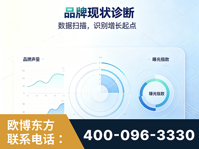 青州-品牌现状诊断