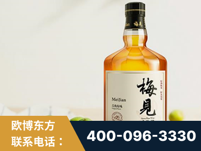 青州-梅见青梅酒